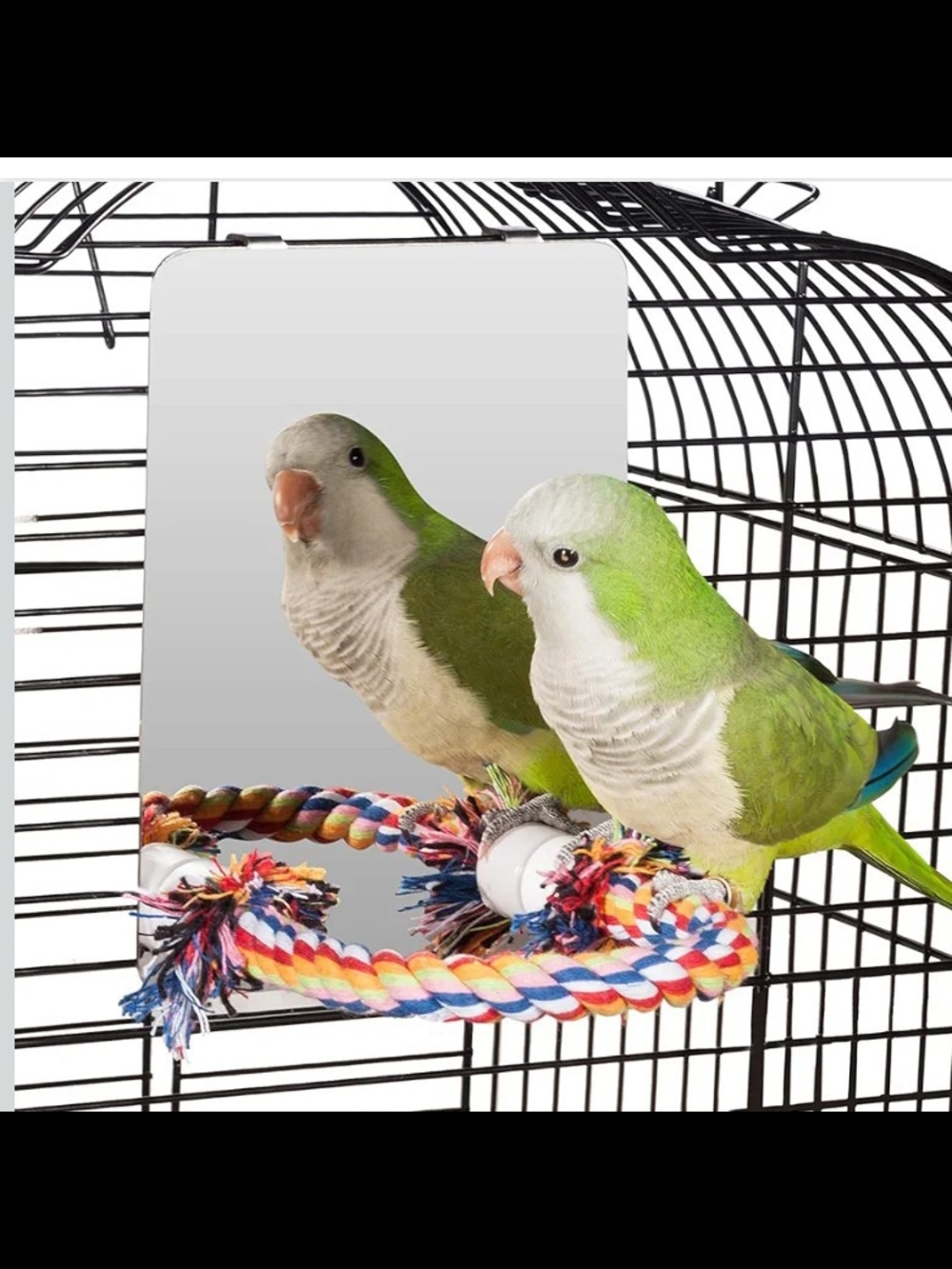 Bird Mirror with Rope Perch, Bird Swing.